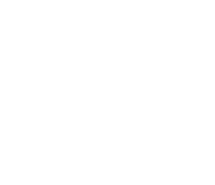 Phoenix Custom Homes